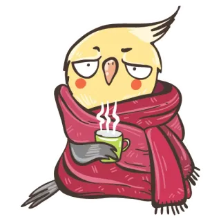 ❄ calopsitta, uccello, sciarpa, tazza, freddo, inverno, carino, malato telegram sticker