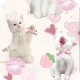 🤲 cat, kitten, hearts, pink, cute, animal, strawberry, kiss telegram sticker