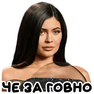 🤨 ЧЕ ЗА ГОВНО kylie jenner, texto russo, ofensivo telegram sticker