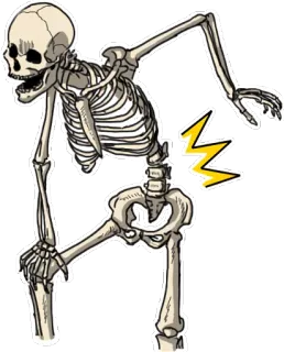 😰 โครงกระดูก, กระดูก, กายวิภาคศาสตร์, การแพทย์, ตลก telegram sticker