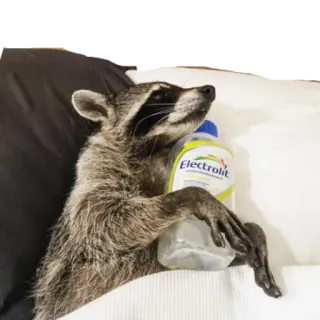 🧪 Electrolit Waschbär, Elektrolyt, Tier, Flasche telegram sticker