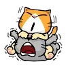 ๐พ