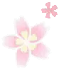 🌸