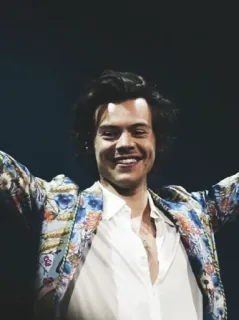 💸 Harry Styles Harry Styles, Chanteur, Célébrité, One Direction, Musique telegram sticker