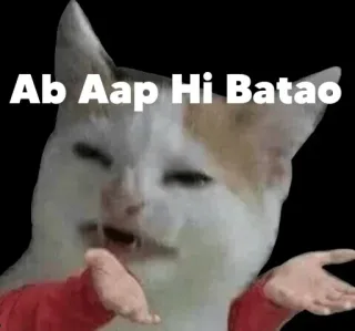 👀 Ab Aap Hi Batao kot, mem, pytanie, śmieszne, zwierzę telegram sticker
