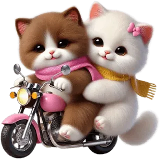 🛵 gatos, moto, fofo, animais, animal de estimação, adesivo telegram sticker