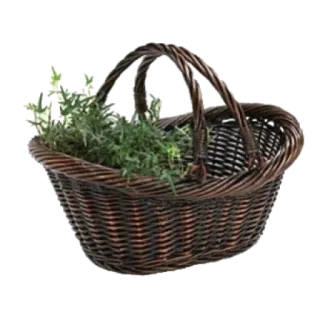 🧺 cesto, piante, vimini, giardinaggio telegram sticker