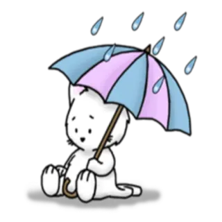 ☔️ chat, parapluie, pluie, triste, mignon, animal telegram sticker