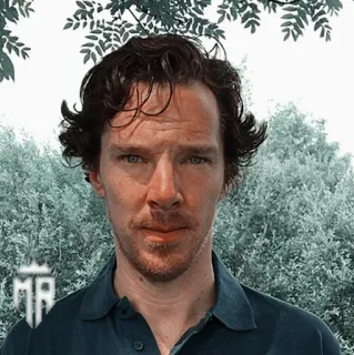 👨‍🔬 Benedict Cumberbatch celebryta, aktor, portret, mężczyzna, osoba telegram sticker