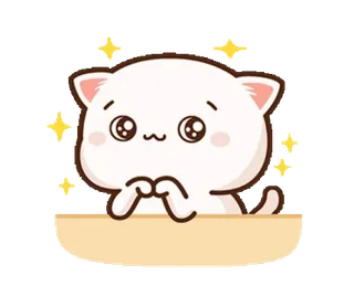 🥺 고양이, 귀여운, 카와이, 스티커, 별 whatsapp sticker