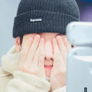 🌻 Supreme 패션, 의류, 모자, 비니, 브랜드 telegram sticker