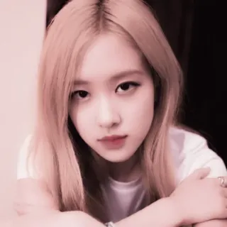 🌸 kpop, rose, cantante, donna, ritratto telegram sticker