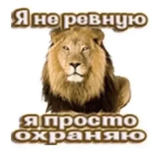 🦁 Я не ревную
Я просто охраняю lion, jaloux, protéger, animal, texte, russe telegram sticker