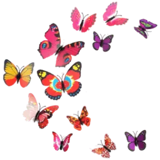 🦋 vlinder, insect, natuur, kleurrijk, vleugels telegram sticker