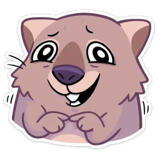 🥺 wombat, fofo, animal, adesivo, desenho animado, marsupial telegram sticker