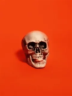 💀 череп, смерть, мрачный, хэллоуин, кости telegram sticker