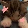 🌟