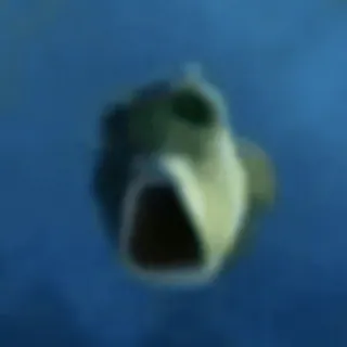🤩