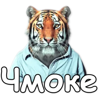 😘 ЧМОКЕ tigre, animal, russe, mème, anthropomorphe telegram sticker