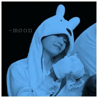 💜 moon moon, bunny, kpop, cute, hoodie telegram sticker