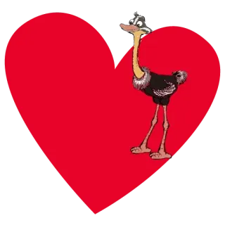 ❤️ avestruz, corazón, pájaro de dibujos animados, amor, San Valentín, pájaro whatsapp sticker