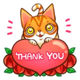 Кот Budweiser @StikerDi telegram stickers