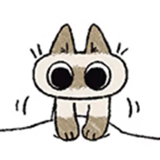 🥺 kucing, imut, gambar, binatang whatsapp sticker