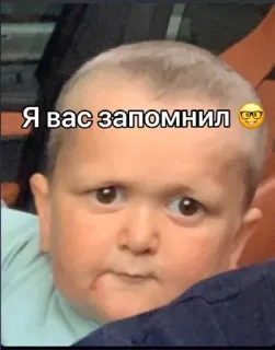 🤓 Hasbulla Я вас запомнил hasbulla, mini khabib, meme, russian telegram sticker