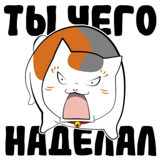☹️ ТЫ ЧЕГО НАДЕЛАЛ gato, zangado, texto russo, meme, gato de desenho animado whatsapp sticker