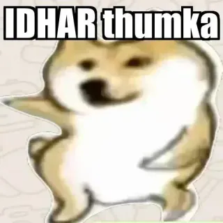 😂 IDHAR thumka chien, mème, danse, humour whatsapp sticker