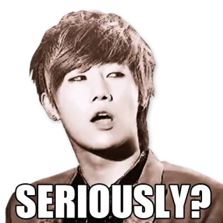 😑 SERIOUSLY? 밈, 반응, 진지, 표정 telegram sticker