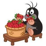 🍓 mole, cartoon, strawberry, cute, animal whatsapp sticker