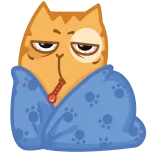 🤒