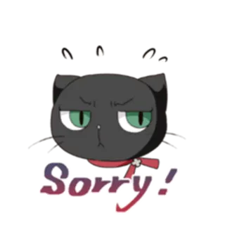🙁 Sorry! xin lỗi, mèo, dễ thương, xin lỗi telegram sticker