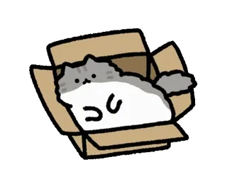 😪 gato, caja, lindo, animal, gatito, mascota telegram sticker