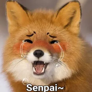 😍 Senpai~ raposa, anime, chorar, lágrimas, senpai, raposa chorando, kawaii telegram sticker