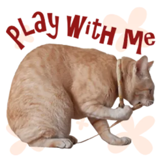 😄 Bite Me Katze, beissen, Humor telegram sticker