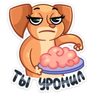 🧠 ТЫ УРОНИЛ anjing, kartun, hidangan, makanan, sedih, hewan telegram sticker
