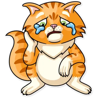 😿 แมว, เศร้า, ร้องไห้, อารมณ์, การ์ตูน, สติกเกอร์, สัตว์ whatsapp sticker