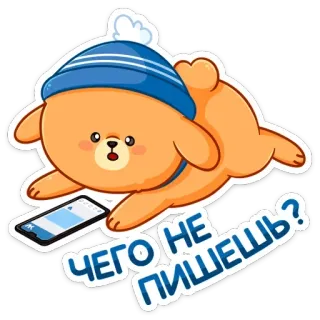 ❓ ЧЕГО НЕ ПИШЕШЬ? 卡通, 熊, 俄语, 电话, 消息, 问题 telegram sticker