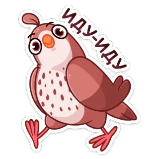 🐦 ИДУ-ИДУ ptak, kreskówka, zwierzę, słodki, spacerujący, rosyjski telegram sticker
