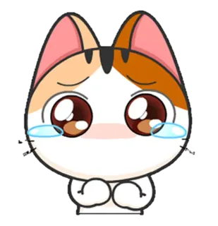 😢 gato, triste, lindo, animal, kawaii, llorando, emoji, pegatina telegram sticker