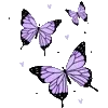🦋