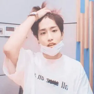 🐿 whatsapp sticker