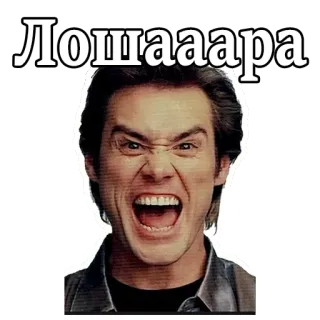 😆 Лошааара russo, texto, rosto, expressão, bravo telegram sticker