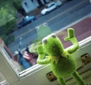 😢 Kermit カーミット, マペット, 中指, 不快, ミーム, 窓 telegram sticker