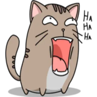😃 gatto, animale, espressione, scioccato, felino, cartone animato whatsapp sticker