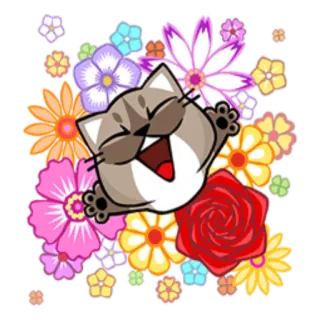 💐 cat, flowers, happy, cartoon, cute, sticker telegram sticker