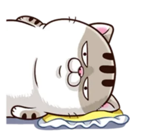 🛌 Katze, Tier, Aufkleber, süß, faul, schlafend, Kissen whatsapp sticker
