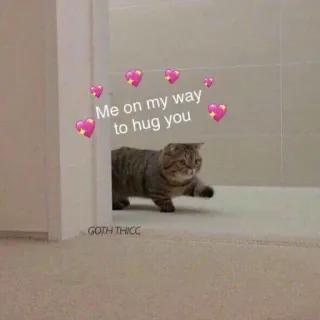 🩰 Me on my way to hug you Katze, Umarmung, Liebe, Süß, Herzen whatsapp sticker
